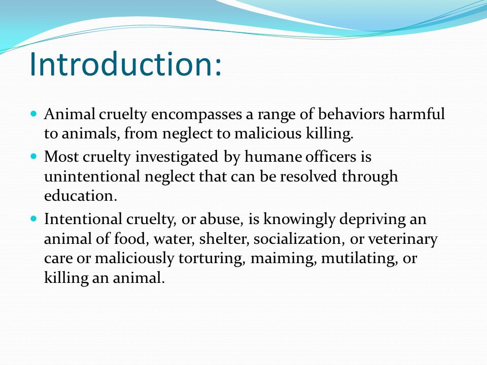 Introduction: Animal cruelty encompasses a range of behaviors harmful to animals, from neglect to malicious killing.