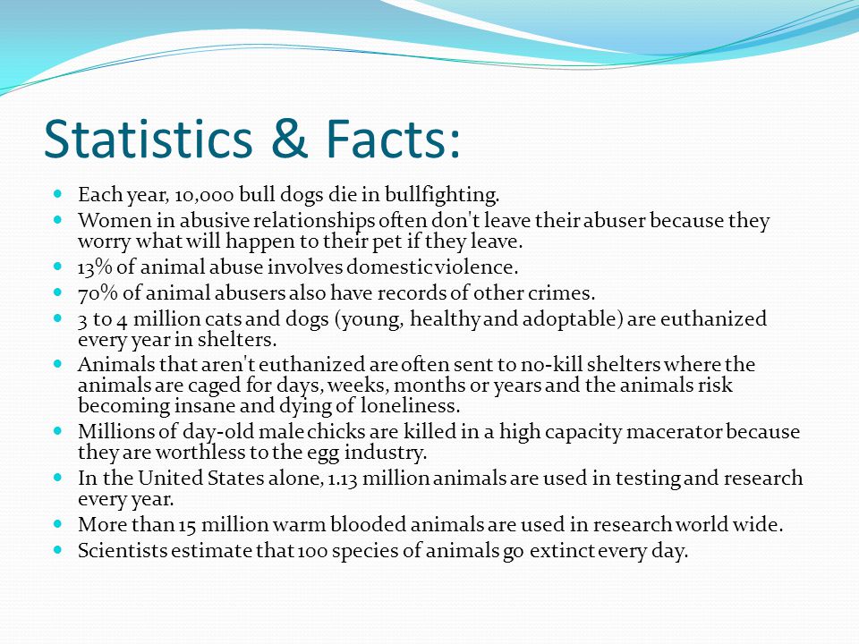 Statistics & Facts: Each year, 10,000 bull dogs die in bullfighting.