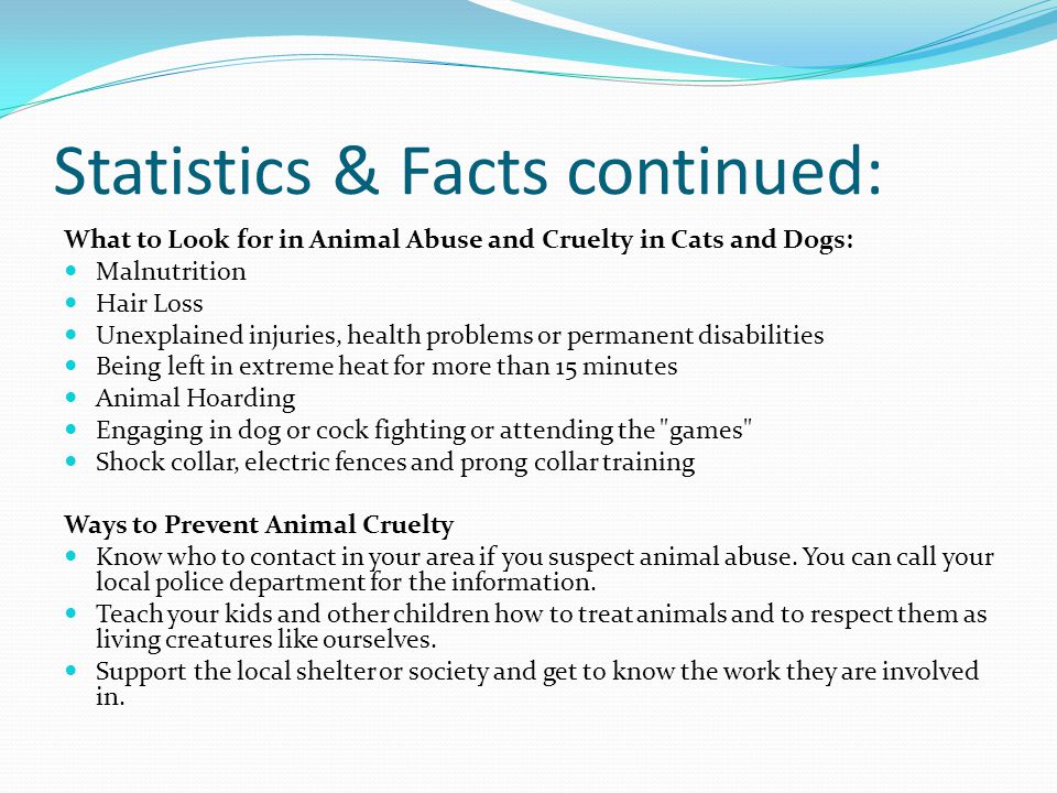 Statistics & Facts continued: