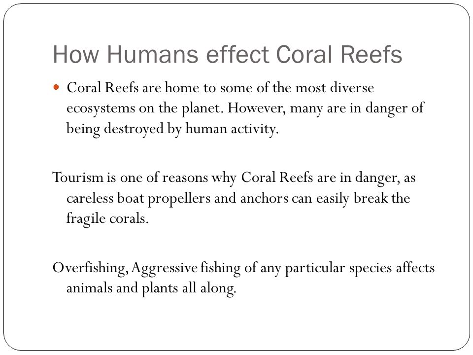 How Humans effect Coral Reefs