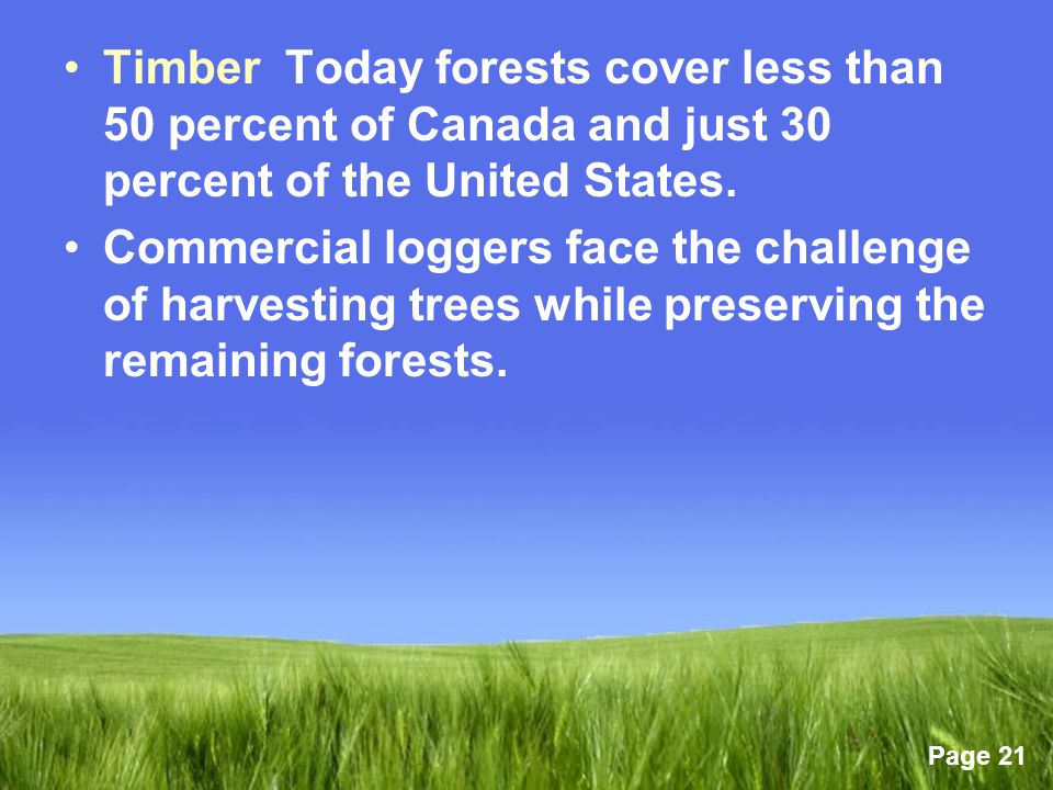 Timber Today forests cover less than 50 percent of Canada and just 30 percent of the United States.