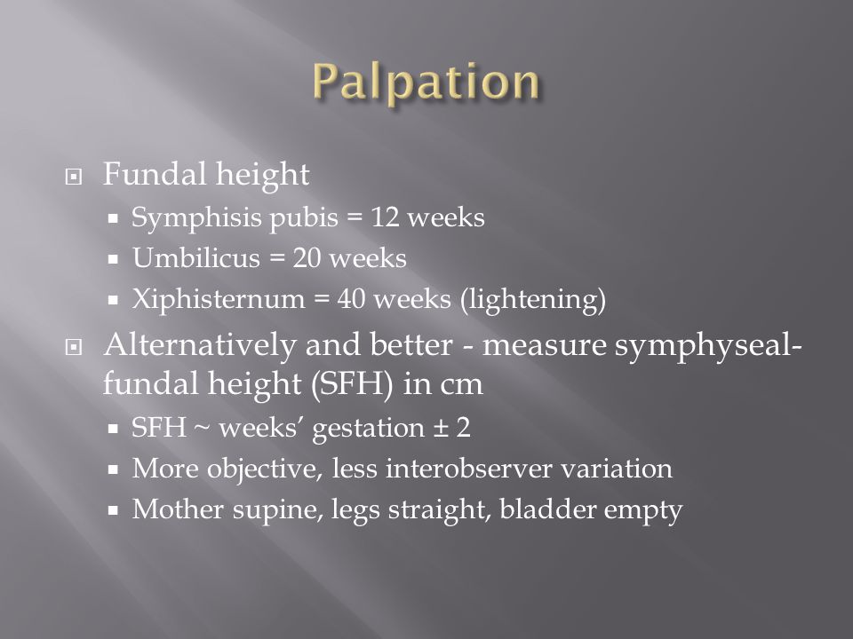 Palpation Fundal height