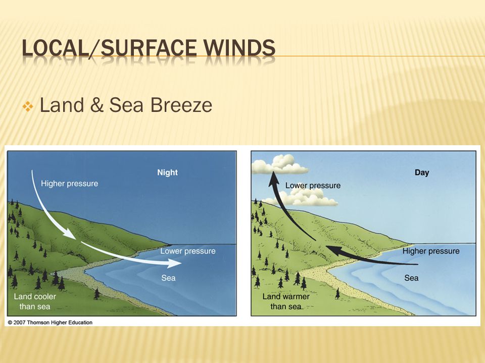 LOCAL/Surface Winds Land & Sea Breeze