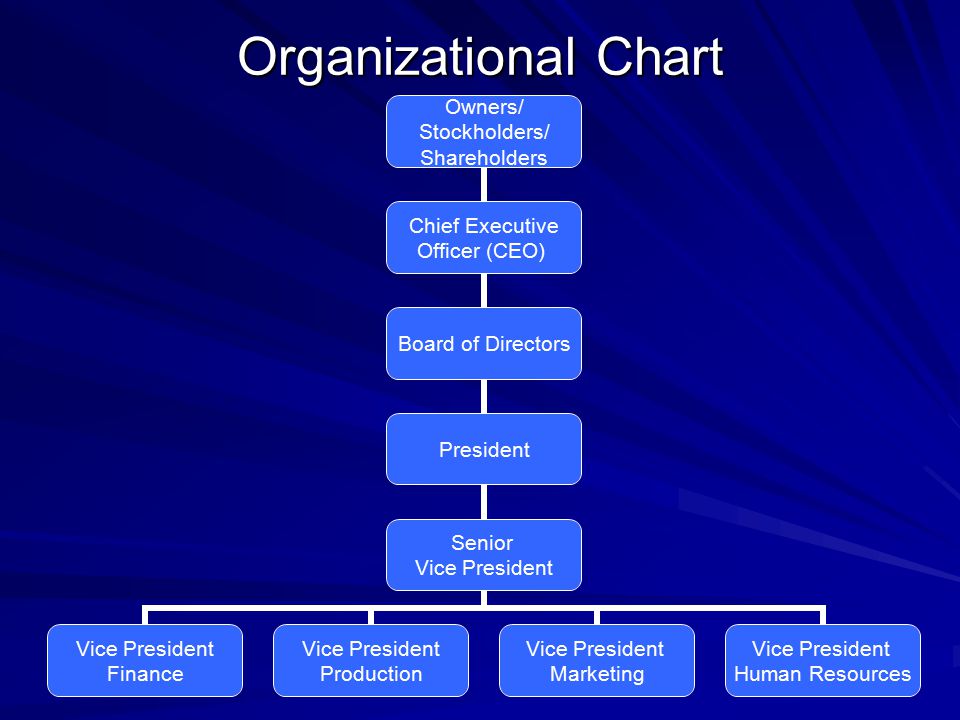 Organizational Chart Of A Sole Proprietorship Business
