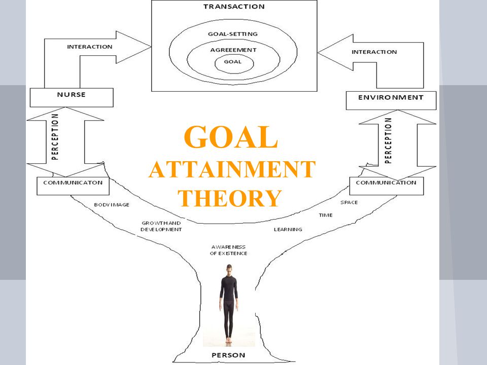 kings theory of goal attainment