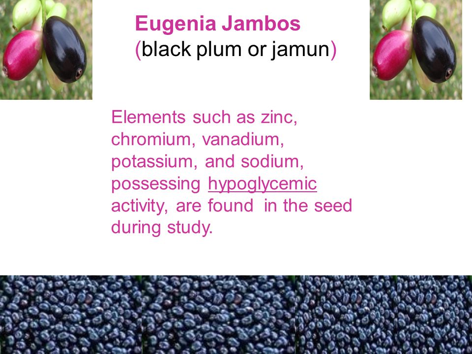 Eugenia Jambos (black plum or jamun)