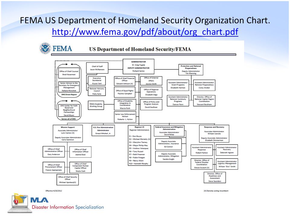 Dhs Organizational Chart 2017