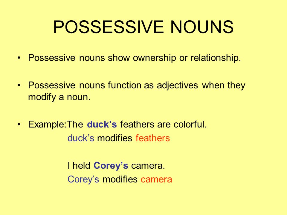 POSSESSIVE NOUNS Possessive nouns show ownership or relationship.