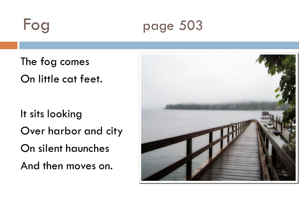 Fog page 503 The fog comes On little cat feet. It sits looking Over harbor and city On silent haunches And then moves on.