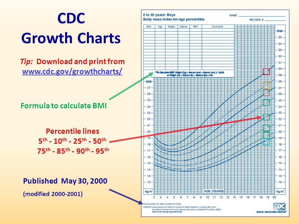 Cdc 2000 Growth Chart Calculator