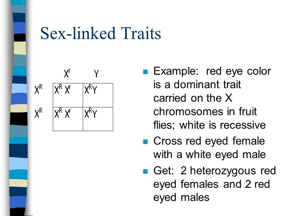 Chapter 12 Human Genetics Ppt Video Online Download