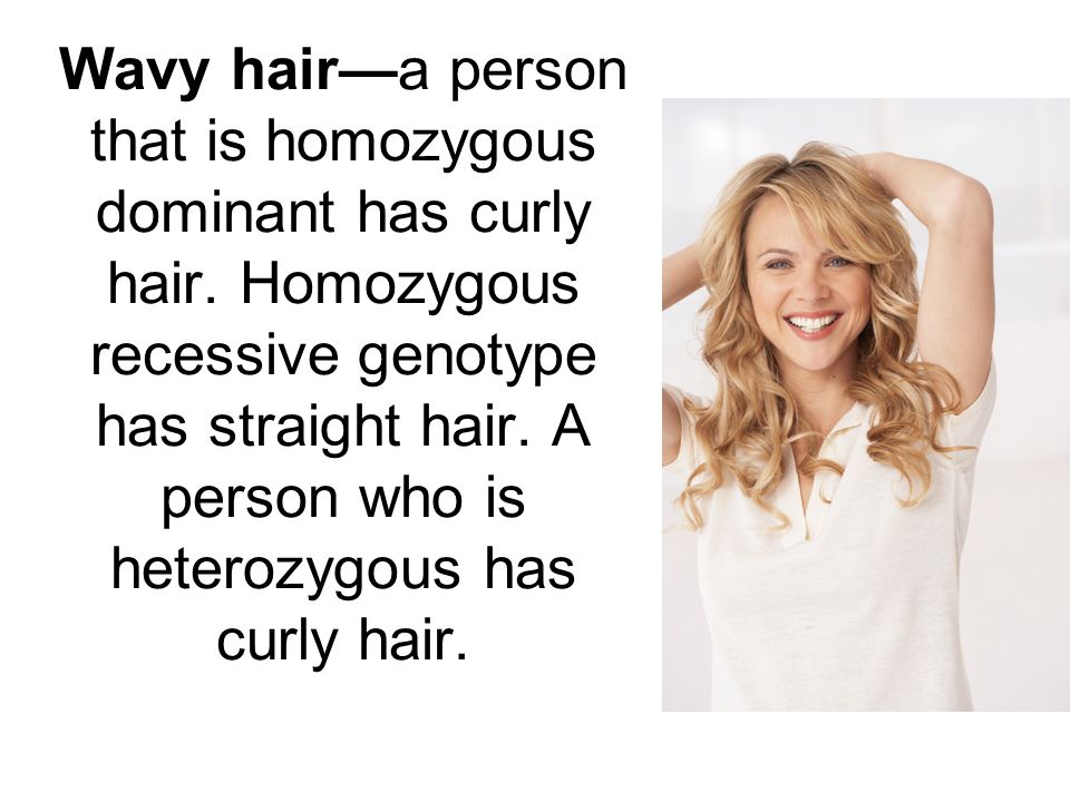 Wavy hair—a person that is homozygous dominant has curly hair - ppt download