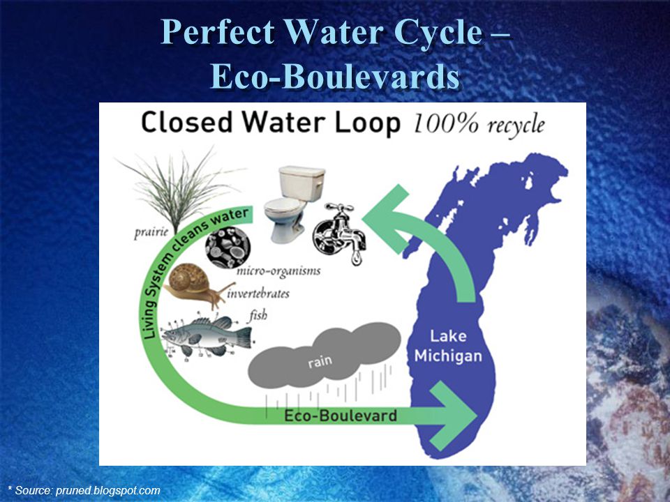 Perfect Water Cycle – Eco-Boulevards