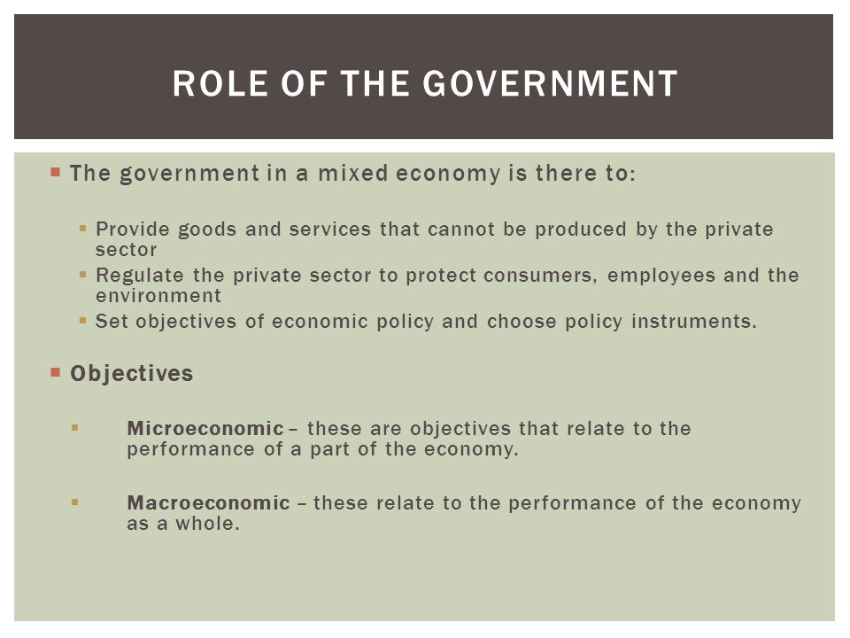 economic role of government in business environment
