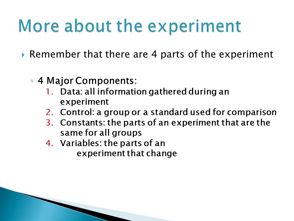 More about the experiment
