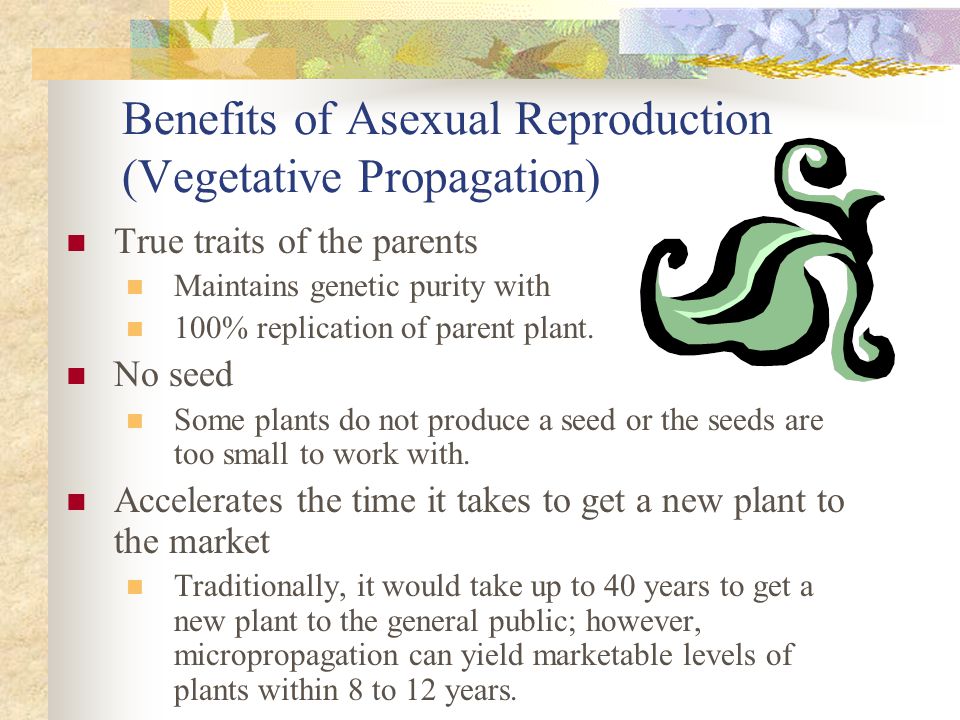 Introduction To Plant Reproduction Ppt Video Online Download