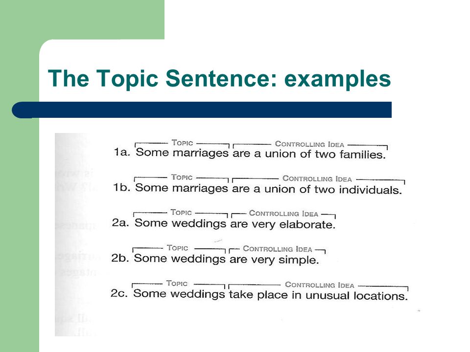 The Topic Sentence: examples