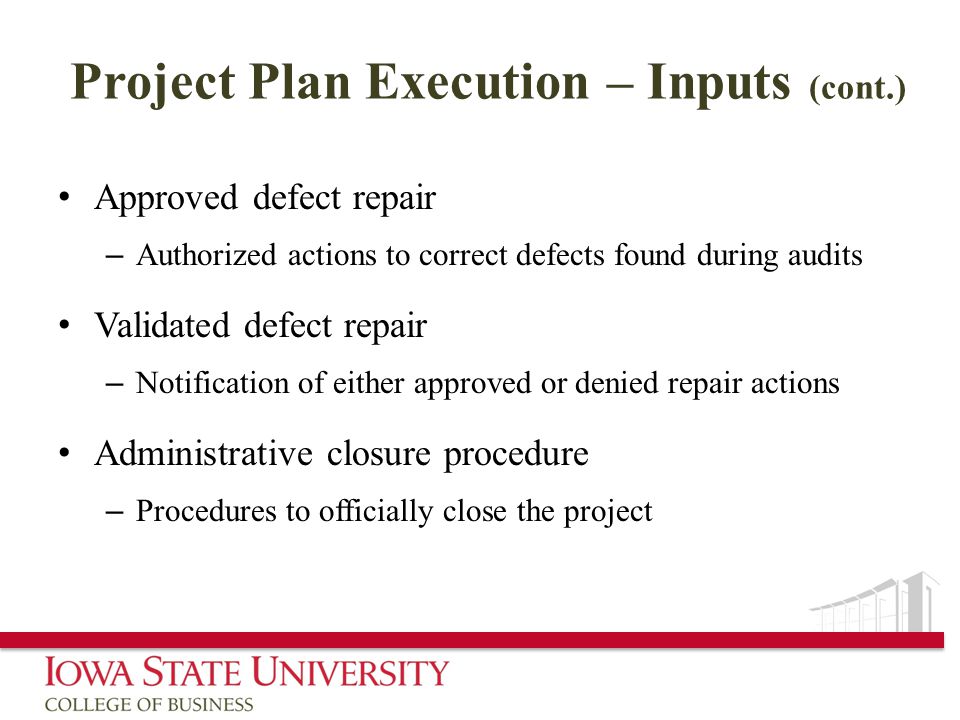 Project Plan Execution – Inputs (cont.)