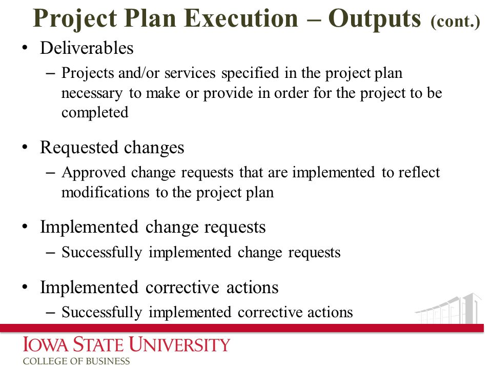 Project Plan Execution – Outputs (cont.)