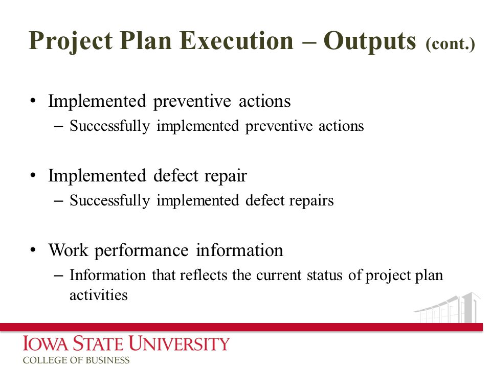 Project Plan Execution – Outputs (cont.)
