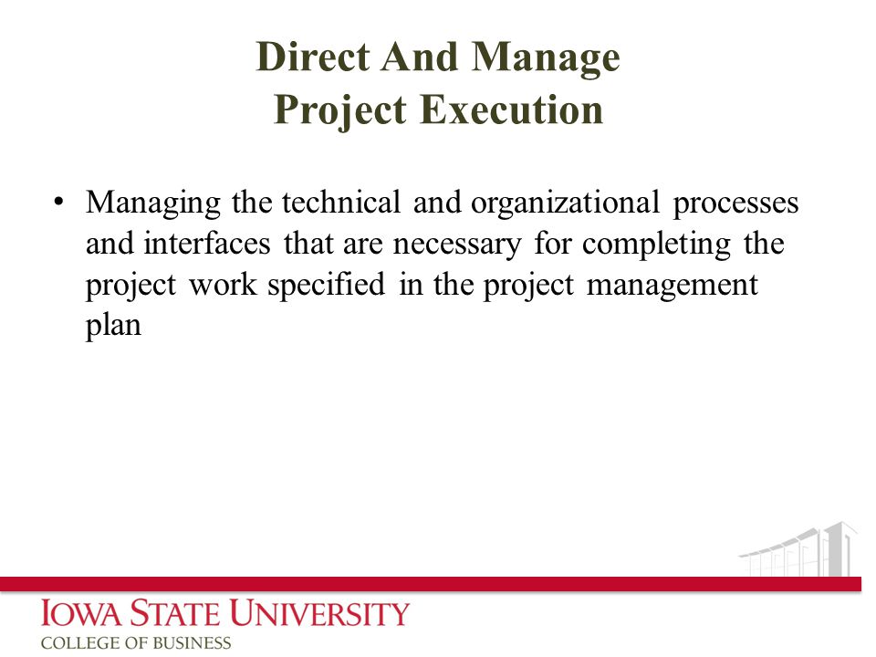 Direct And Manage Project Execution