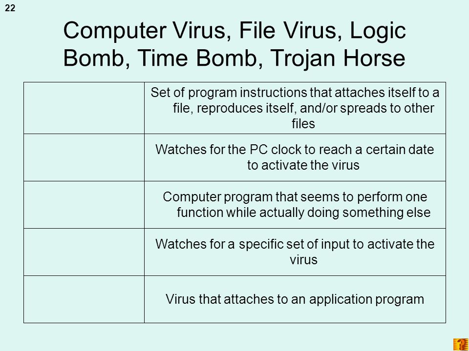 Computer Virus, File Virus, Logic Bomb, Time Bomb, Trojan Horse