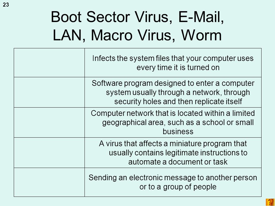 Boot Sector Virus,  , LAN, Macro Virus, Worm