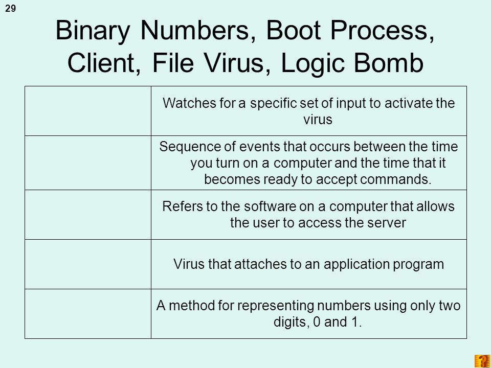 Binary Numbers, Boot Process, Client, File Virus, Logic Bomb