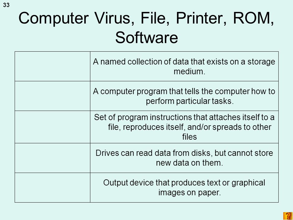 Computer Virus, File, Printer, ROM, Software