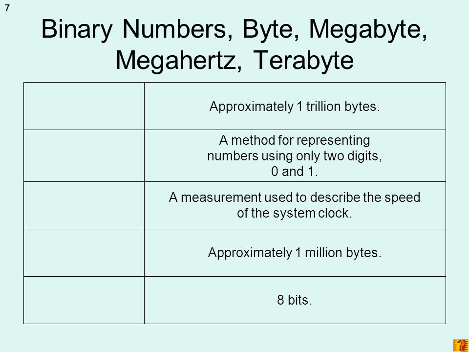 Binary Numbers, Byte, Megabyte, Megahertz, Terabyte