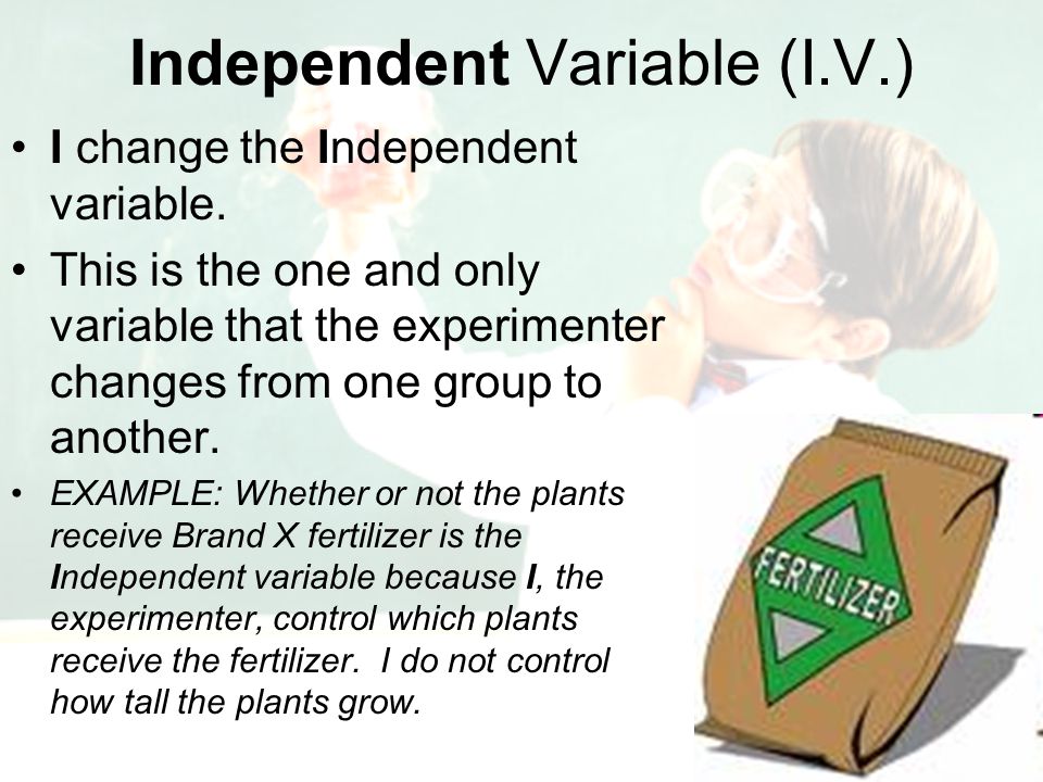 Independent Variable (I.V.)