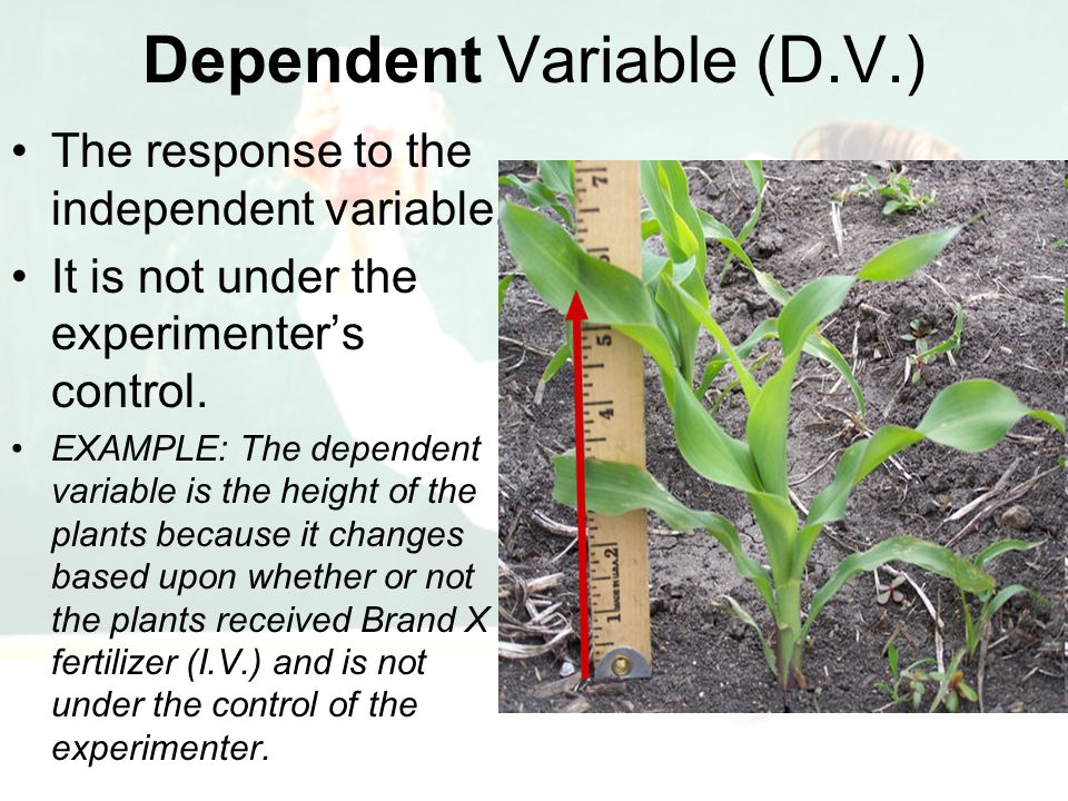 Dependent Variable (D.V.)