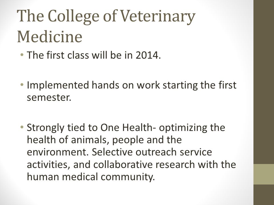 The College of Veterinary Medicine