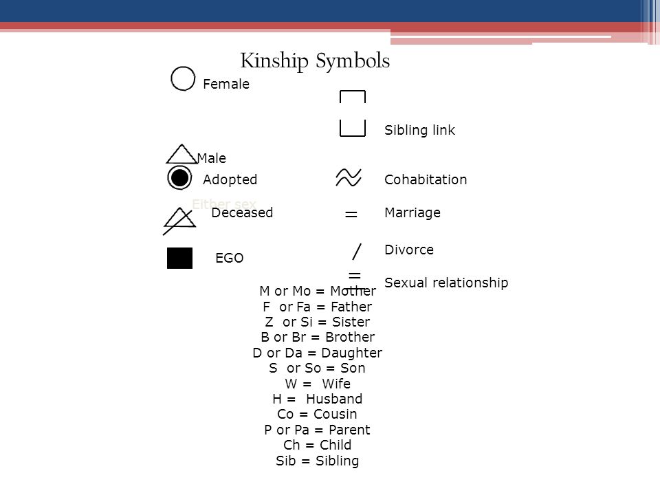 Kinship Symbols Charting