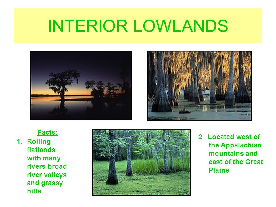 INTERIOR LOWLANDS Facts: