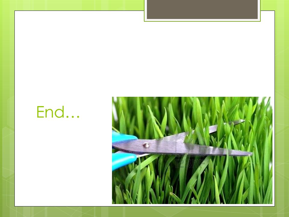 cut grass philip larkin