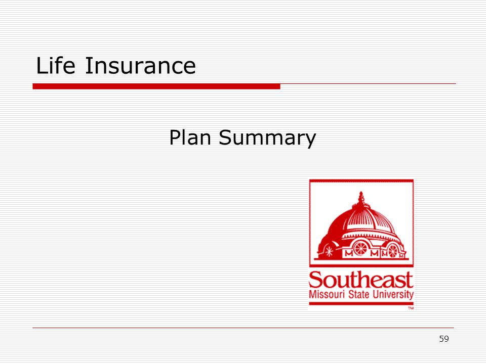 Life Insurance Plan Summary