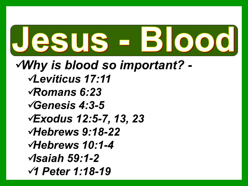 Why is blood so important -