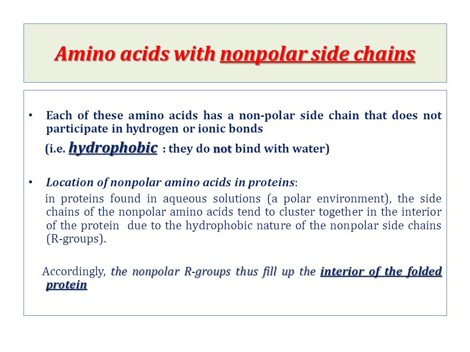 properties of hydrophobic amino acids