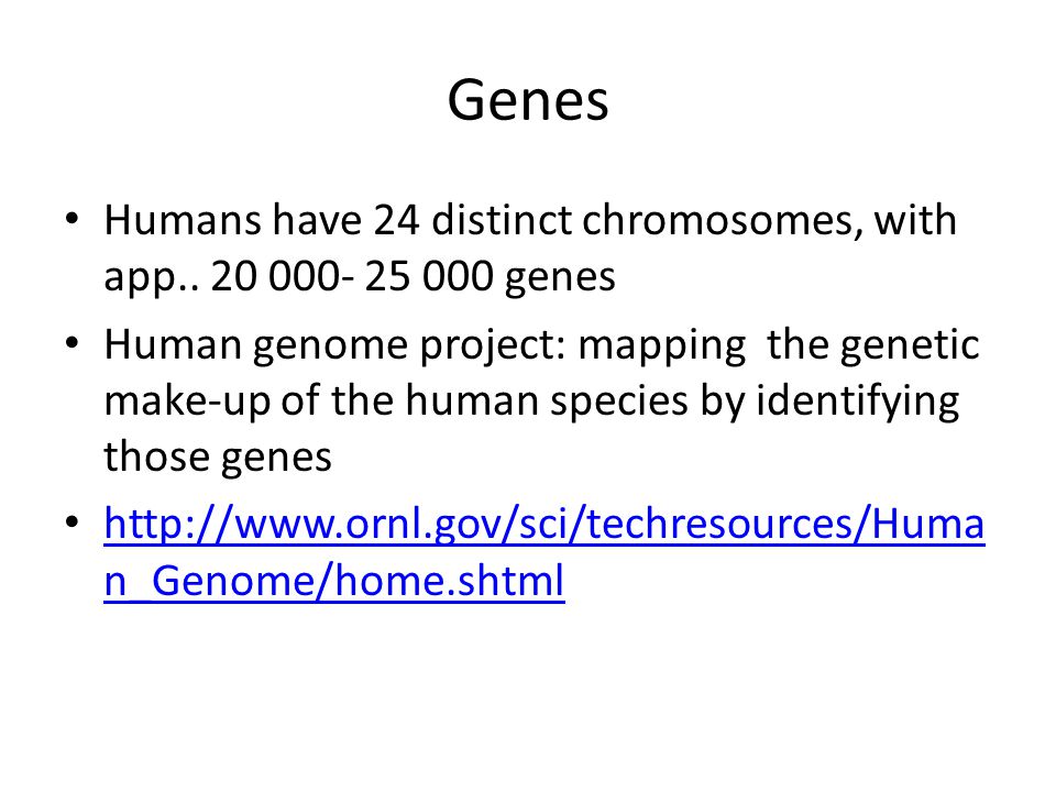 Genes Humans have 24 distinct chromosomes, with app genes.