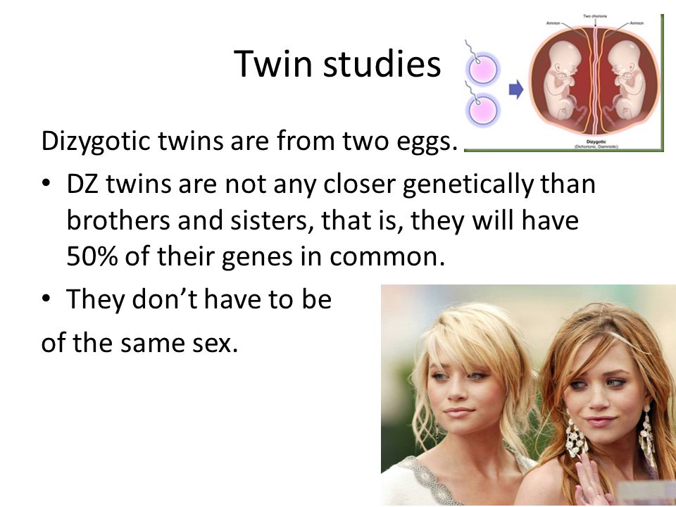 Twin studies Dizygotic twins are from two eggs.
