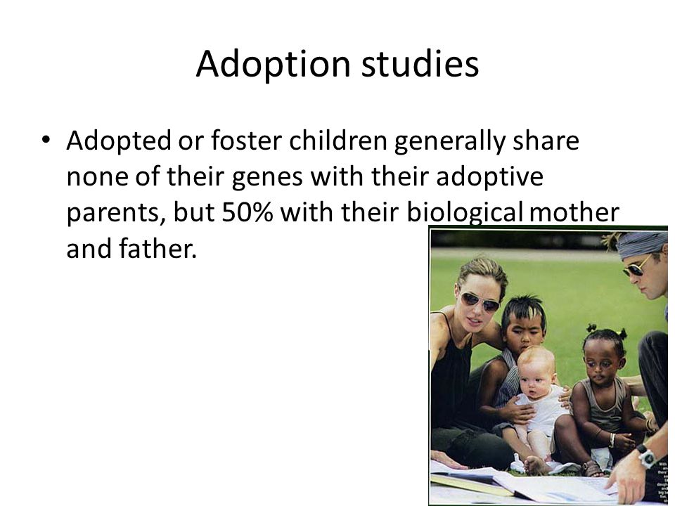 Adoption studies