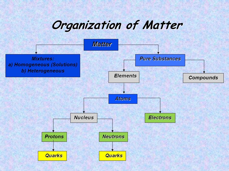 Organization Of Matter Chart
