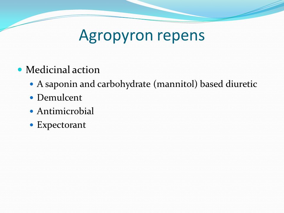 Agropyron repens Medicinal action