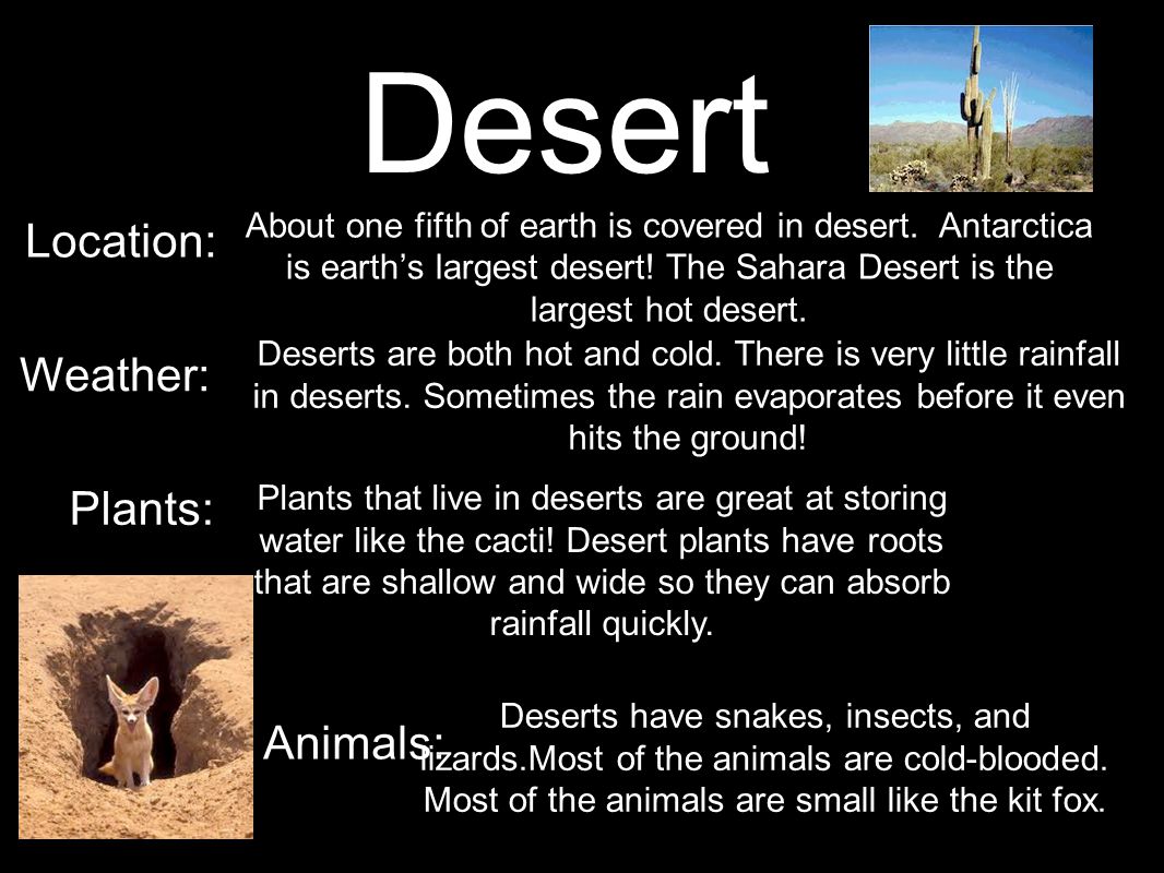 Desert Location: Weather: Plants: Animals: