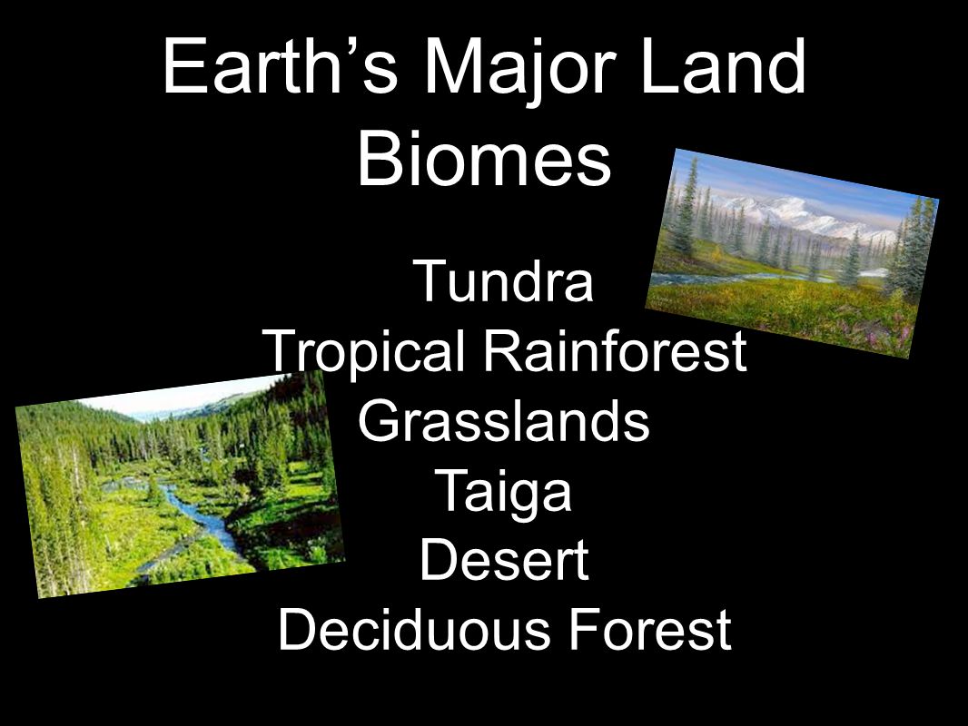 Earth’s Major Land Biomes