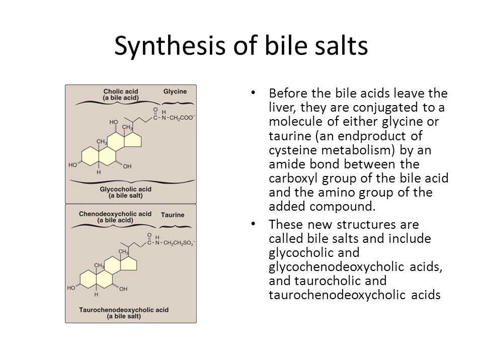 Bile Acids and Bile Salts - ppt video online download