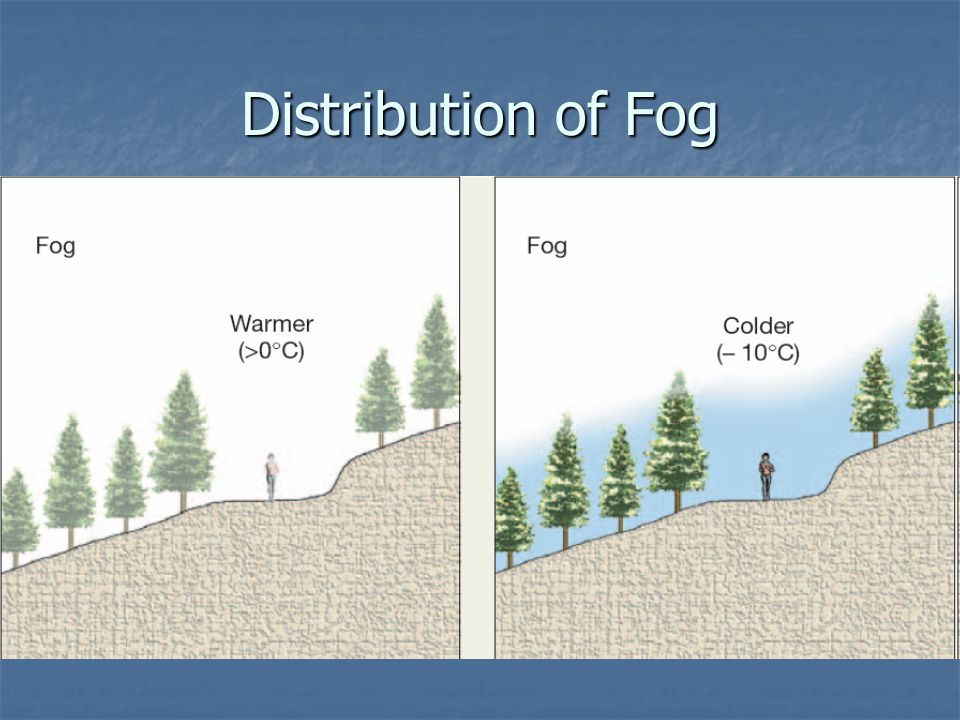 Distribution of Fog