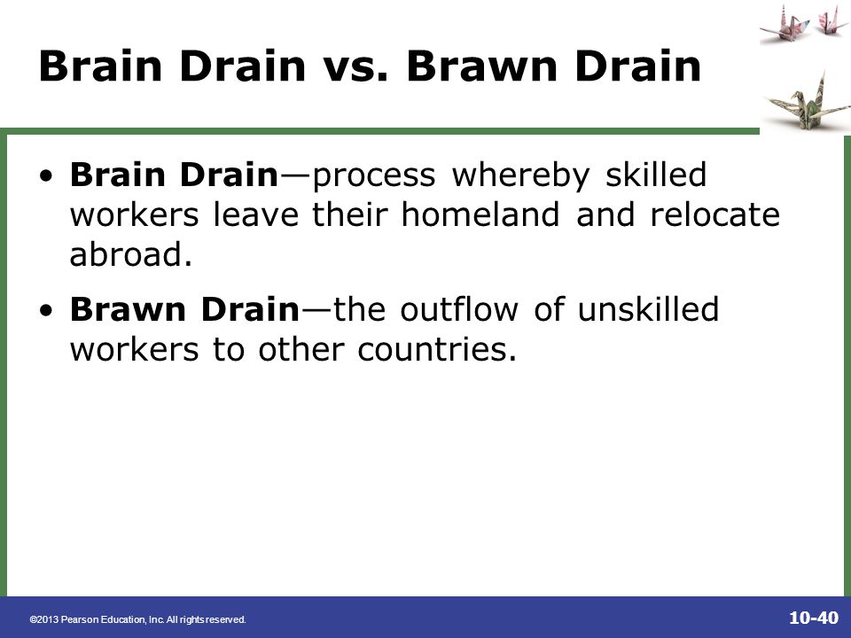 Brain drain meaning