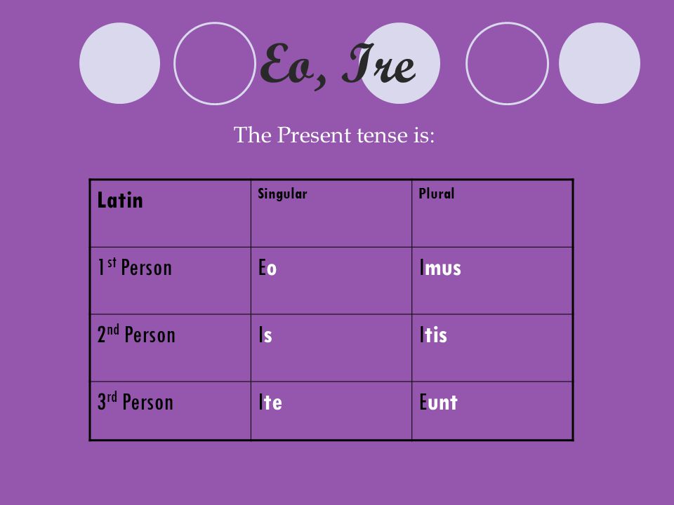 EO латинский. Plurals 2 класс тест. 1-St 2-ND 3-Rd person verbs. 3rd person singular. 1 person singular